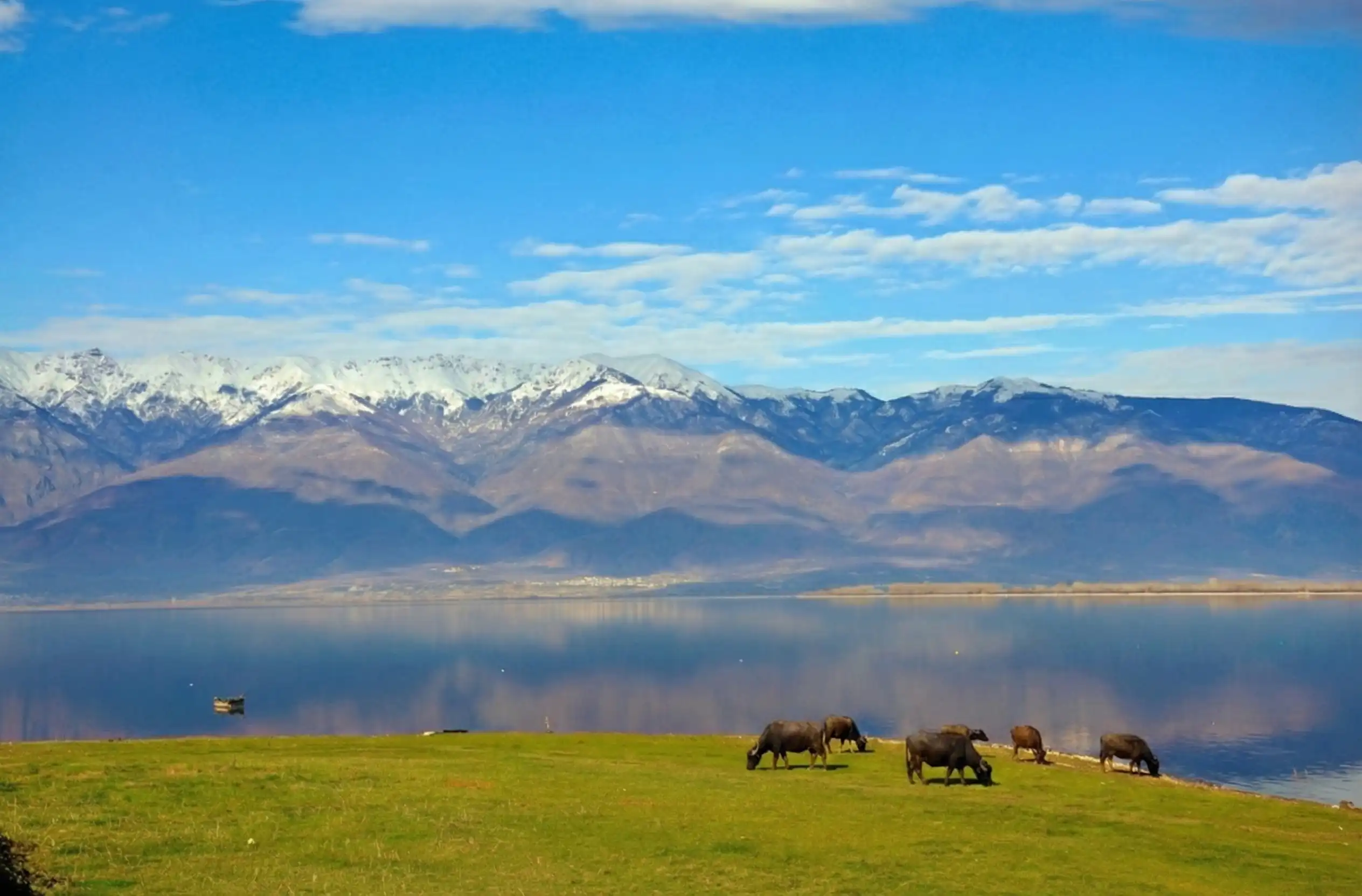 Βουνό Μπέλλες